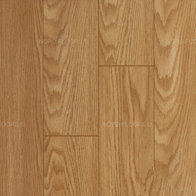 Toucan – Matt – TF1123 – 12.3mm Laminate Flooring